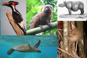 دانلود پاورپوینت فصل چهارم گفتار سوم زیست شناسی دوازدهم تغییر در گونه‌ها